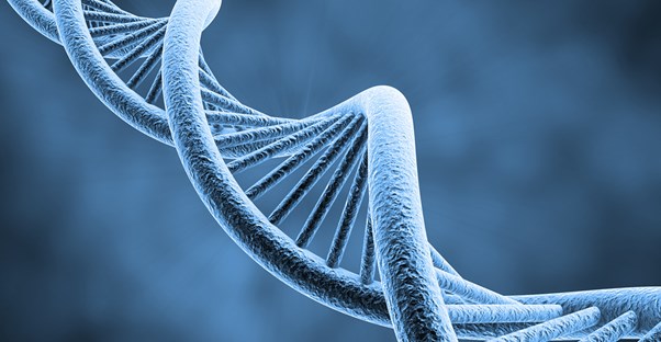 genetics are the basis of hemophilia risk factors