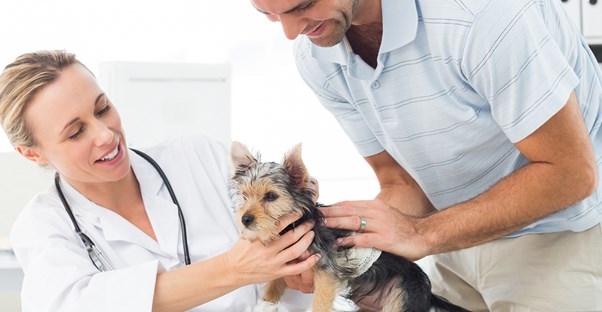 A vet tech checking on a dog.