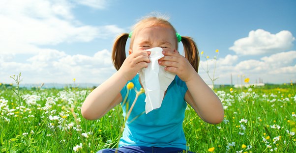 A little girl sneezing from allergies.