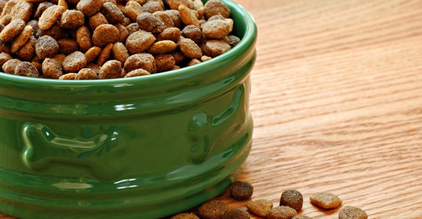 Gluten-free dog food