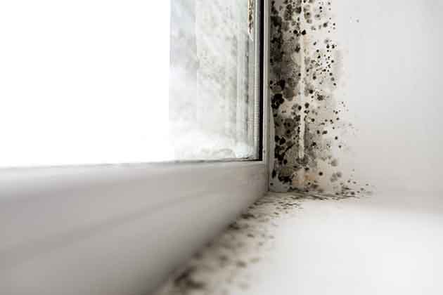 Window Sills and Tracks