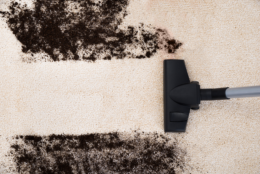 Carpet