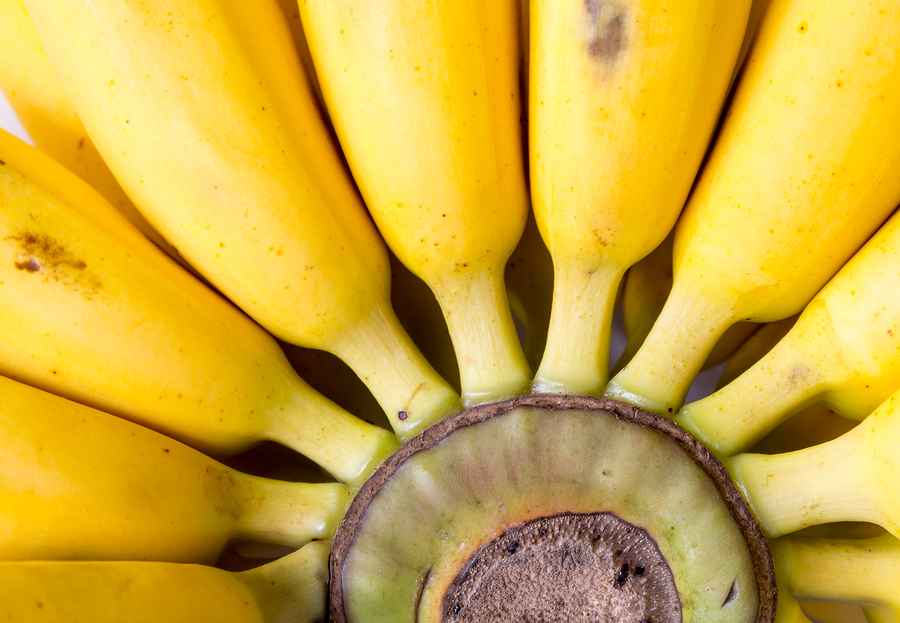 Bananas Instead of Eggs