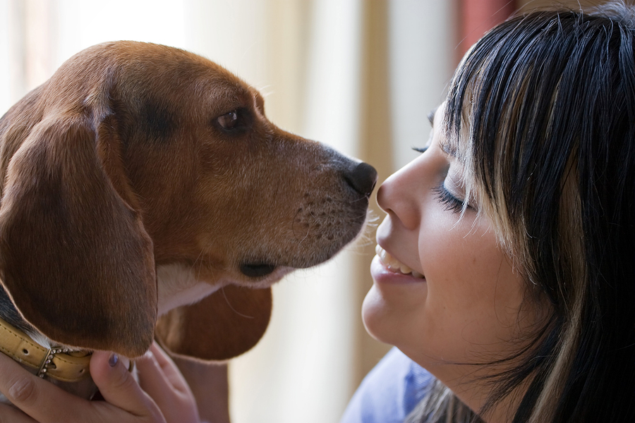 7. Pet Sitting