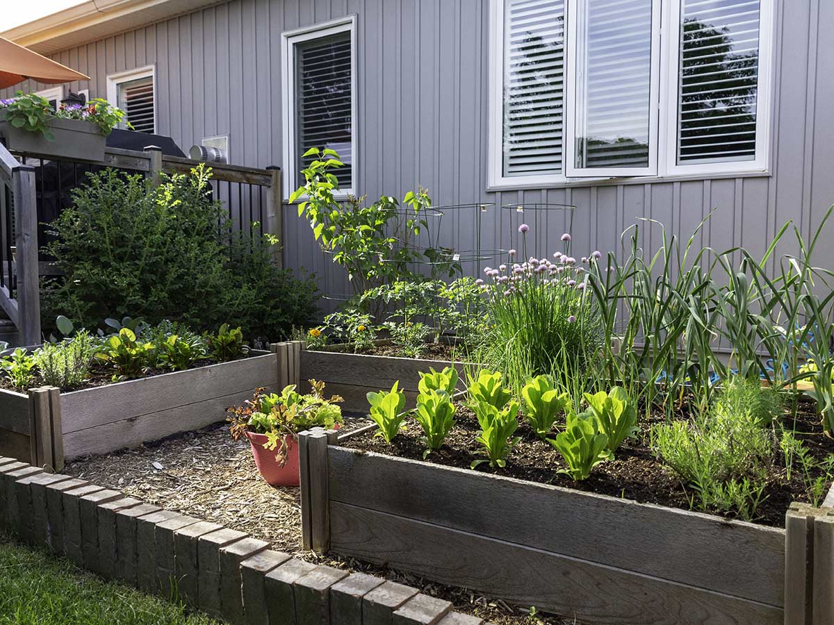 Try Growing at Home
