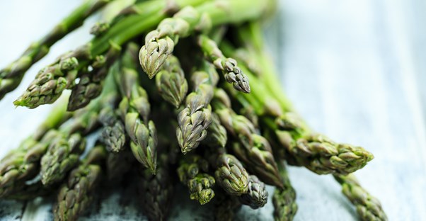 A bundle of asparagus