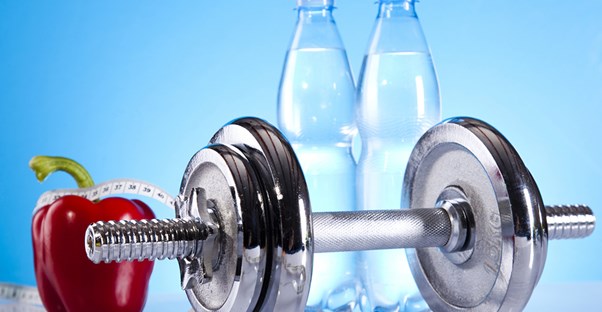 Creating a bodybuilding diet