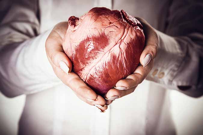Organ Transplant