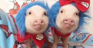 Priscilla and Poppleton