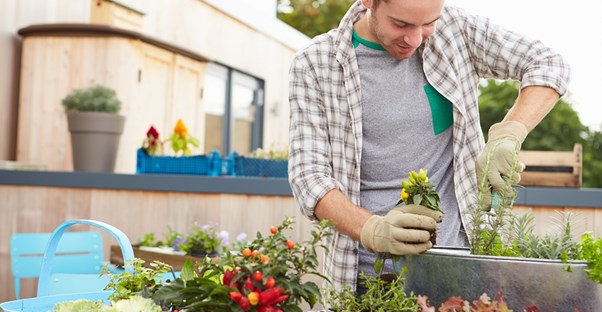 Young man using a gardening hack.