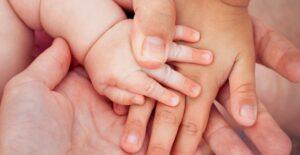 A family portrait of each person's hand.