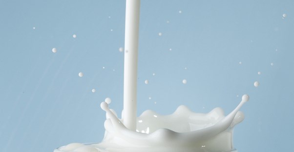 Dairy alternatives
