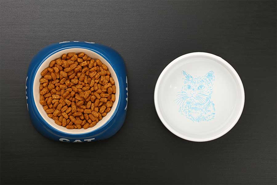 Keep their water bowl clean.