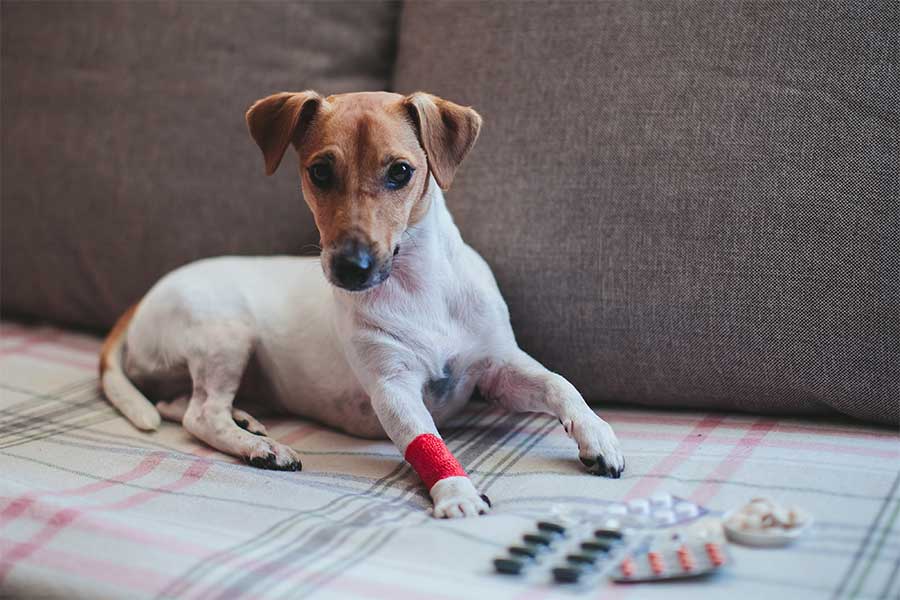 Keep Benadryl on hand.