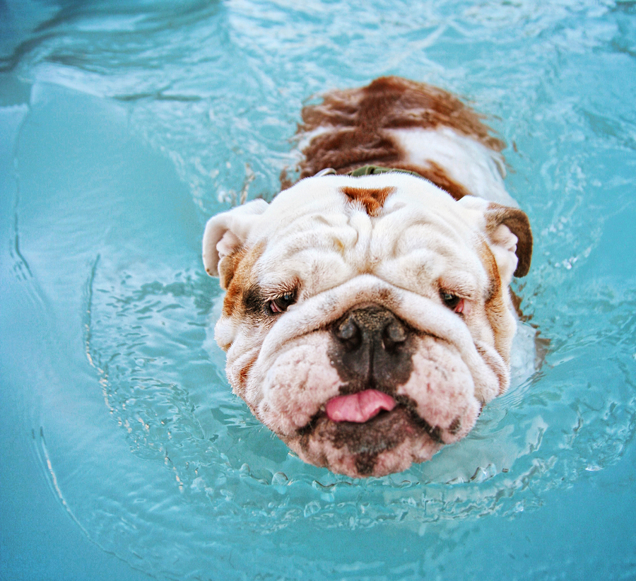 Prevent swimmer's ear.