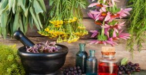 Yeast infection natural cures