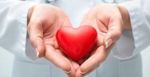 triglycerides can help your heart like this fake one a doctor is holding