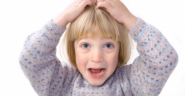 Symptoms of head lice