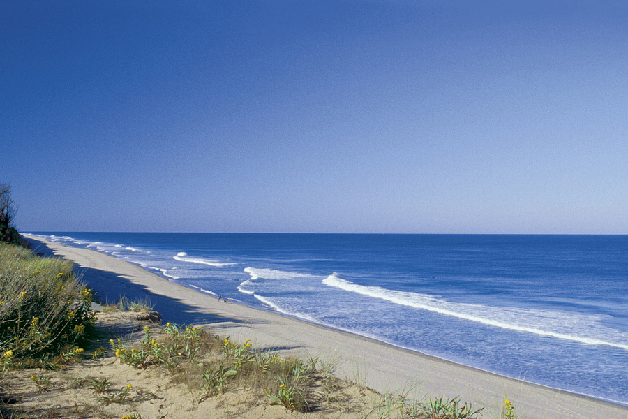 7. Coast Guard Beach