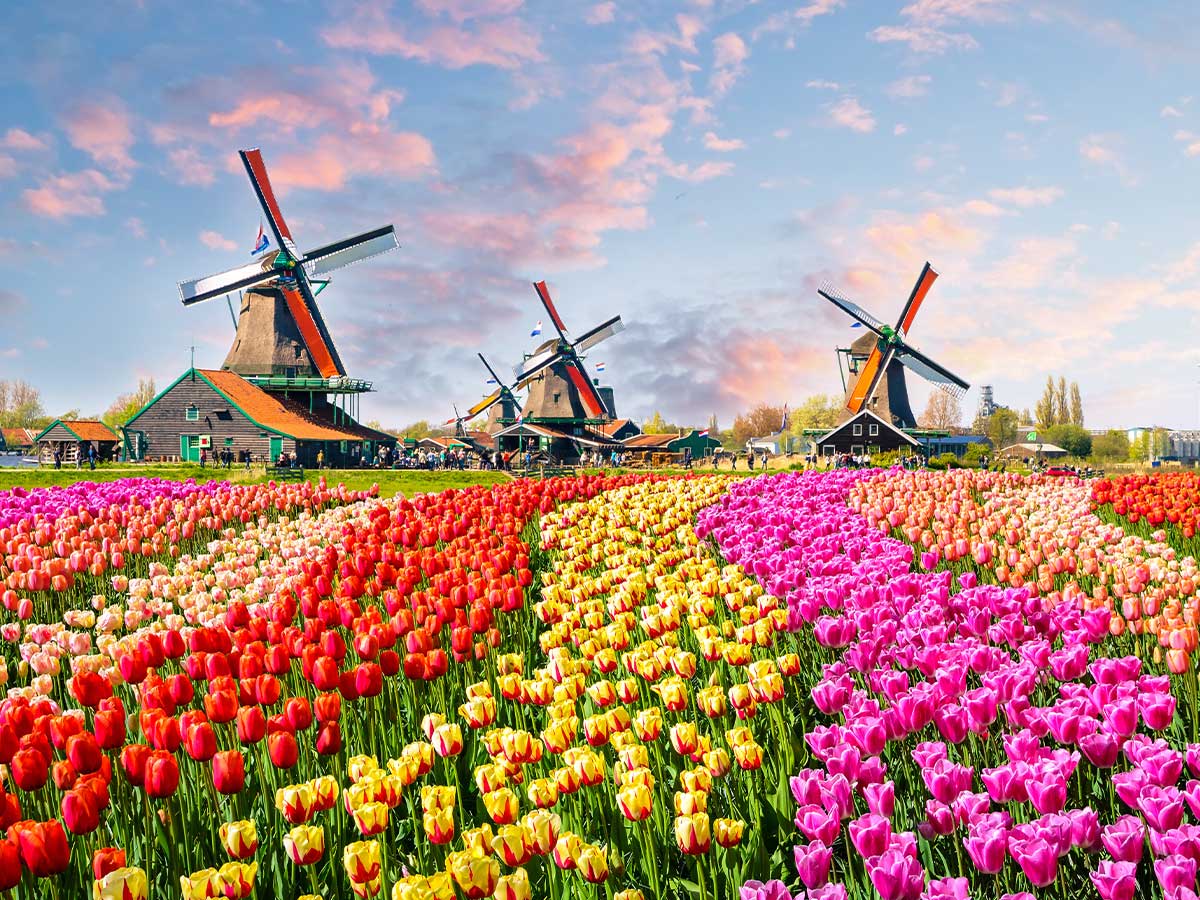 Netherlands
