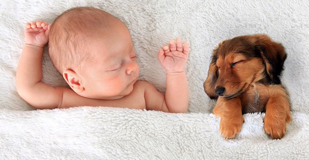 A puppy and a baby laying in a bed with white sheets