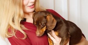Benefits of Owning a Pet