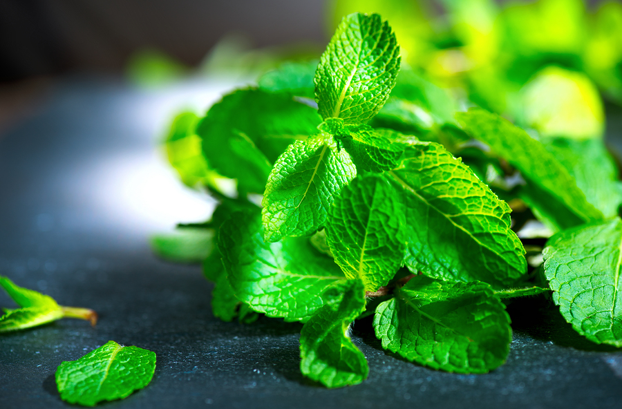 Use Natural Breath Fresheners