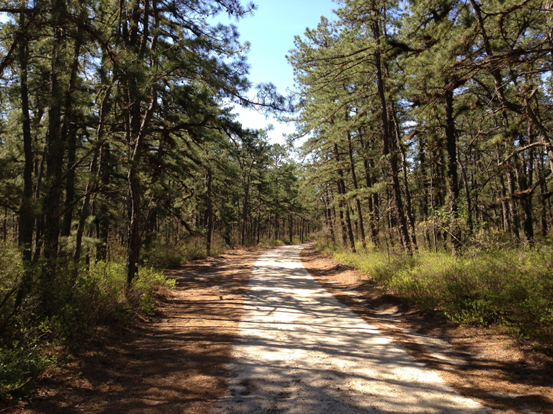 7. Mount Misery Road