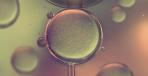 What is artificial insemination?