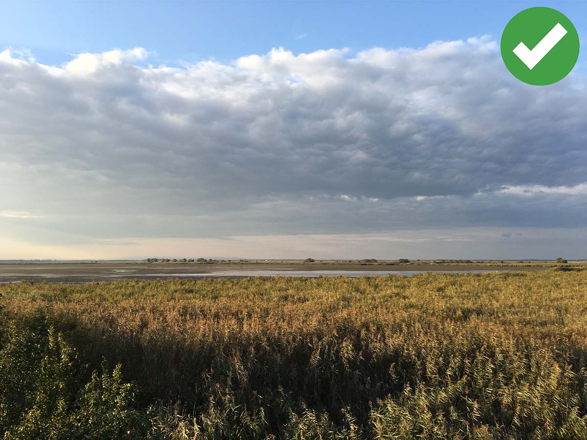 Hungary: See The Hortobágy National Park