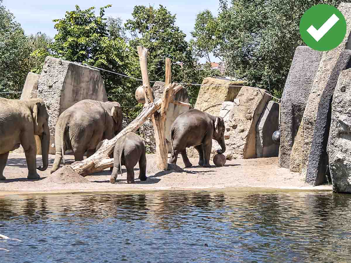 Amsterdam: See ARTIS Zoo