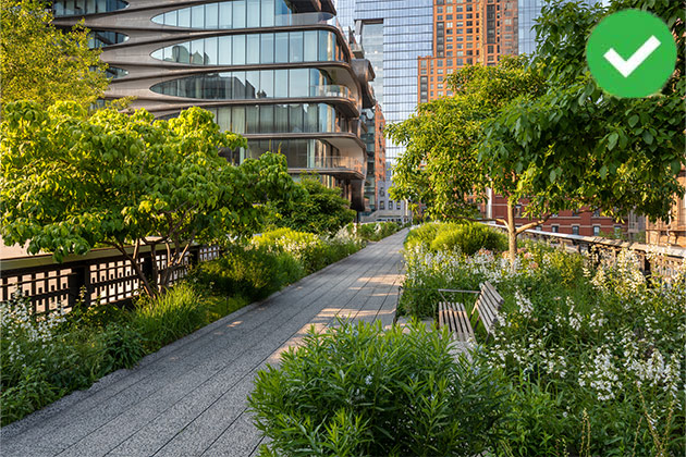 New York: See the High Line