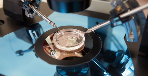 Cost of in vitro fertilization