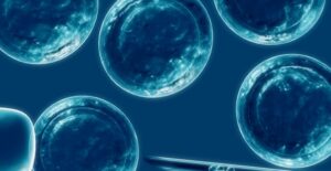 In vitro fertilization glossary