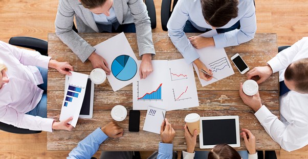 Employees with social science degrees work together on a team project