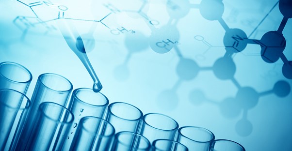 Understanding swine flu