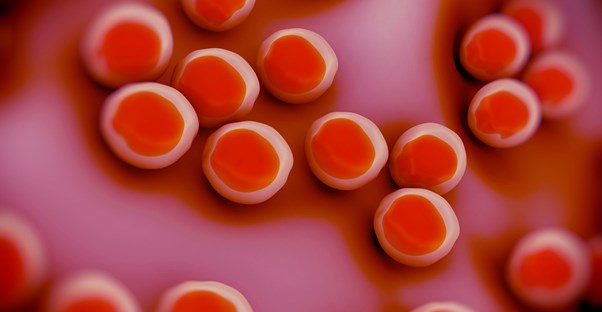 A staph infection in its native habitat