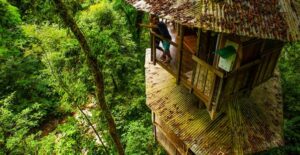 Finca Bellavista is the perfect sustainable getaway by offering housing in a treehouse.