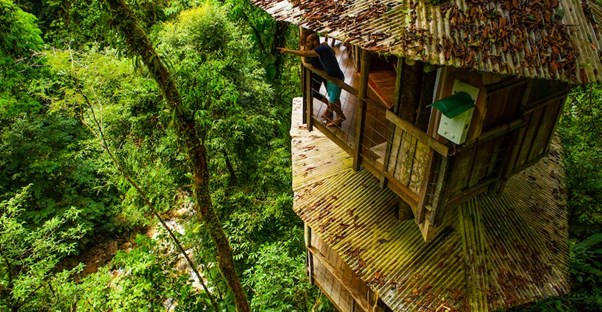 Finca Bellavista is the perfect sustainable getaway by offering housing in a treehouse.