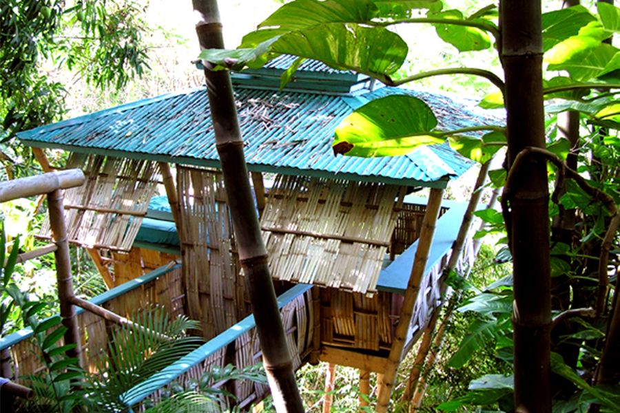 2. Tropical Treehouse