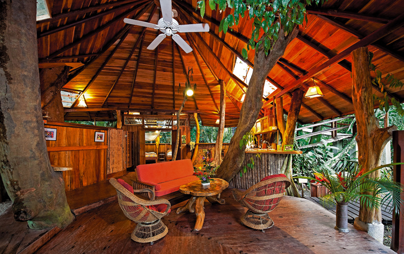 6. Treehouse Lodge