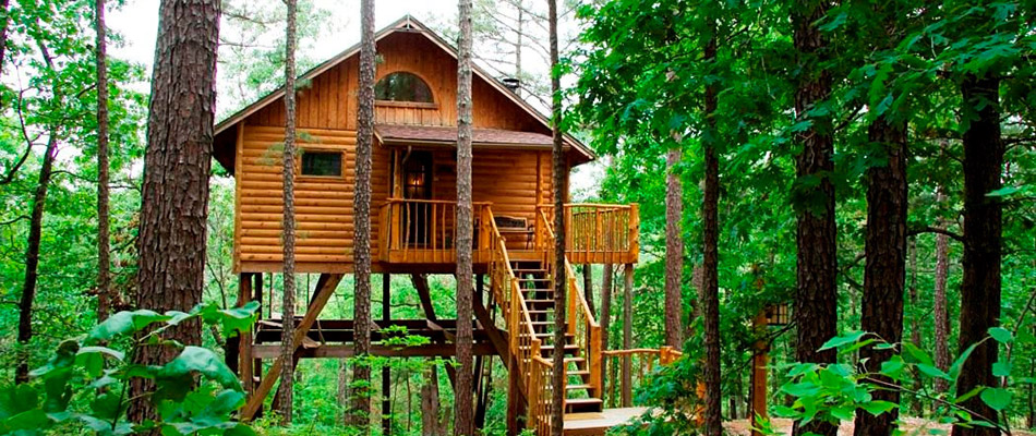 11. Tree House Cabins