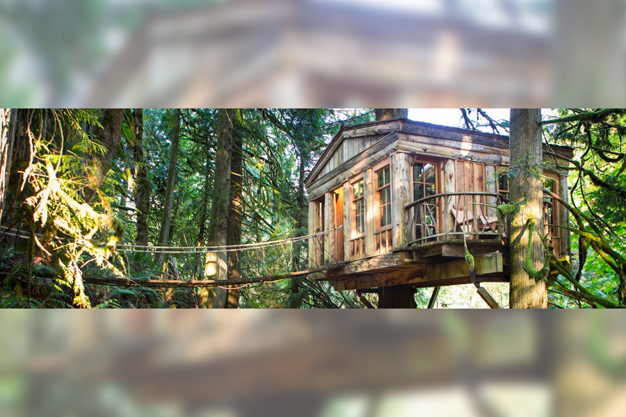 12. Treehouse Point