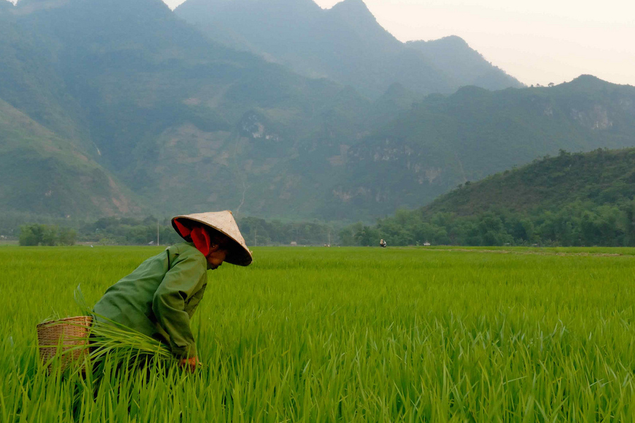 8. Vietnam