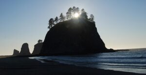 Olympic National Park is one of the best in the entire country.