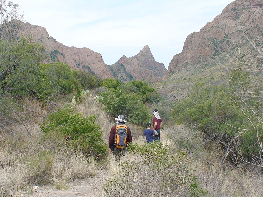 12. Big Bend National Park