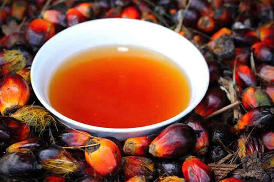 Red Palm Fruit Oil