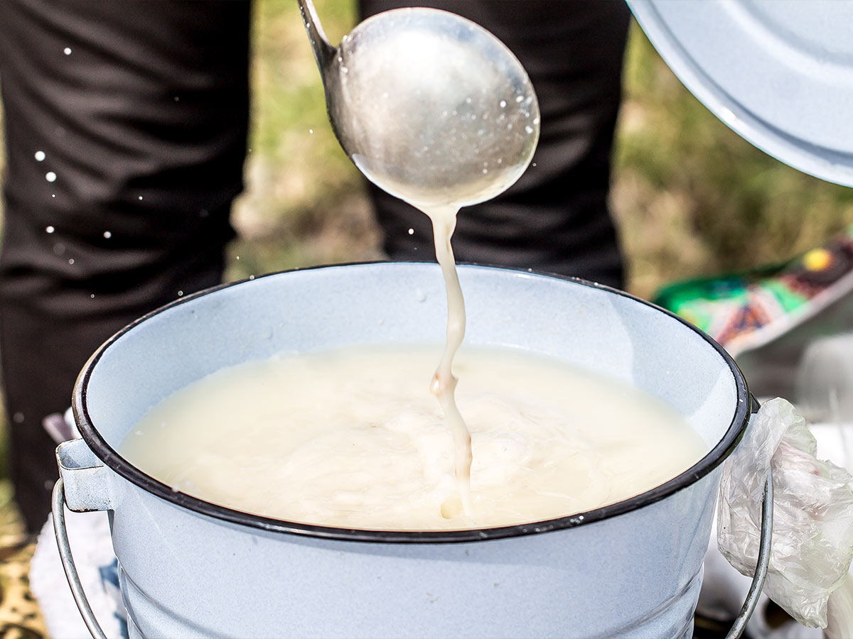 Raw Milk