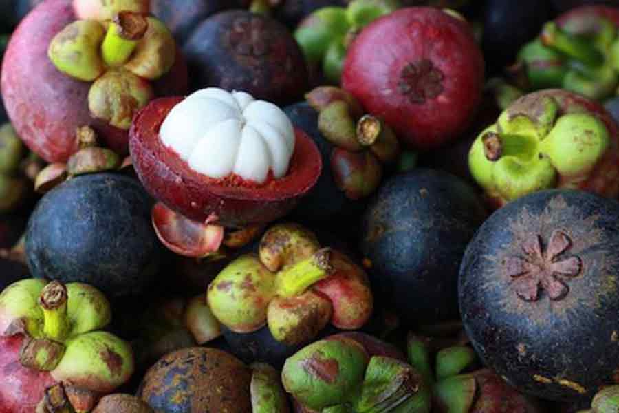 Mangosteen