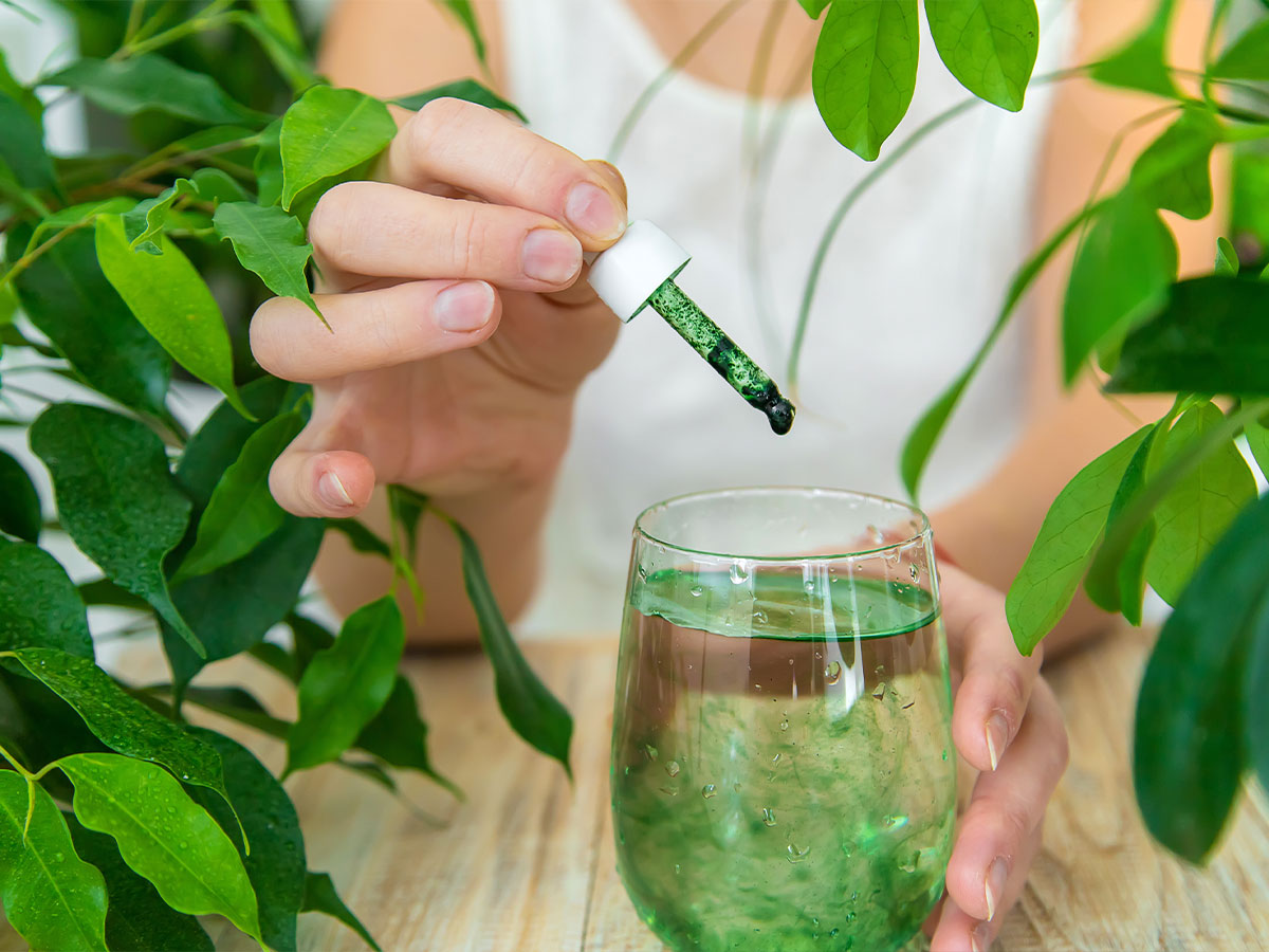 Chlorophyll